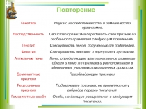 Презентация по биологии на тему Изменчивость