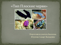 Презентация по биологии Тип Плоские черви