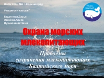 Презентация к Всемирному Дню защиты морских млекопитающих на тему Проблемы сохранения млекопитающих Балтийского моря