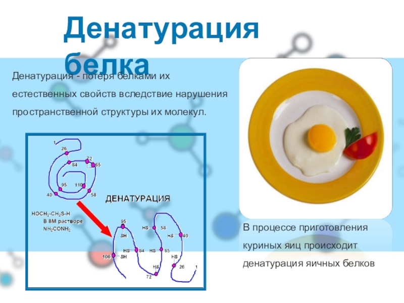 Денатурация. Денатурация белков и ее обратимость. Денатурация белков SDS. Денатурация белка куриного яйца кислотами. Денатурация денатурация белка.