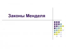 Презентация по биологии Законы Менделя (10класс)