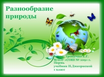 Презентация по окружающему миру на тему Разнообразие природы (1 класс)