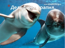 Презентация по терапии Дельфинотерапия