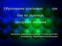 Презентация по внеурочной деятельности