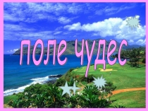 Игра ПОЛЕ ЧУДЕС ДЛЯ УЧАЩИХСЯ 8-9 КЛАССОВ СКОШ