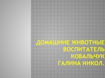 Домашние животные