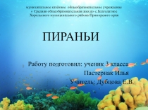 Презентация исследовательской работы на тему  Пираньи