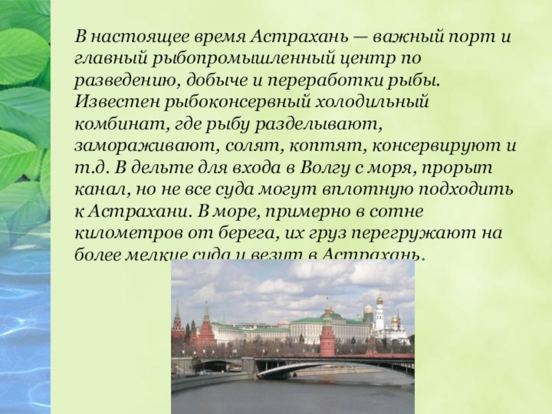 В настоящее время Астрахань — важный порт и главный рыбопромышленный центр по разведению, добыче и переработки рыбы.