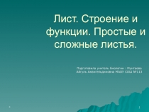 Презентация по биологии на тему Лист.Строение и функции. Простые и сложные листья.