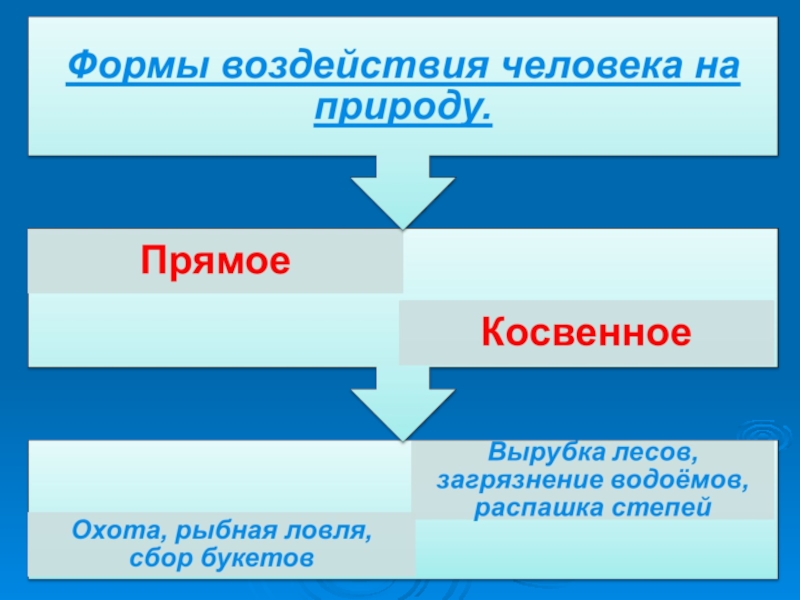 Виды прямого воздействия