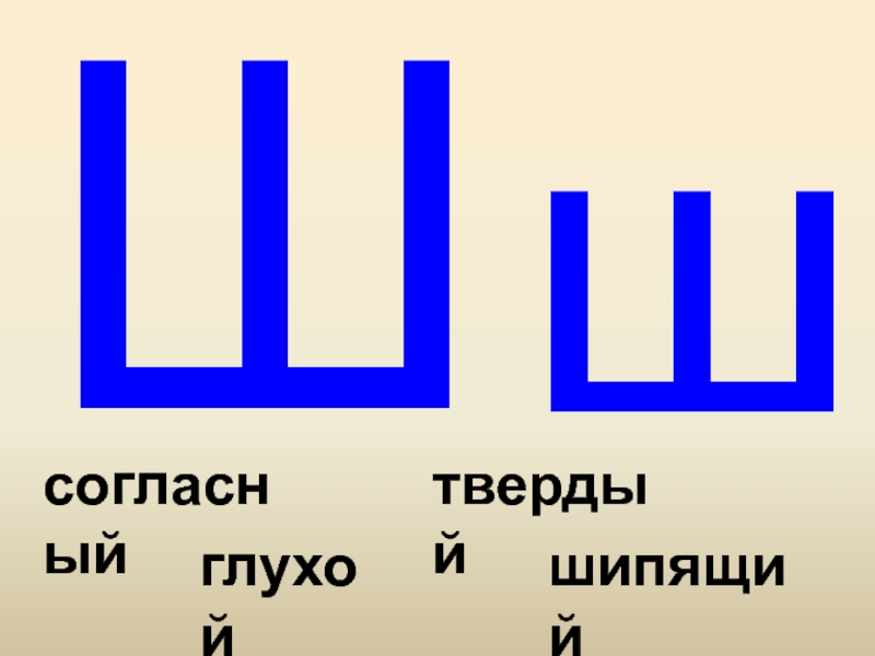 1 буква ш 2 л. Буква ш твердая. Твёрдый глухой шипящий согласный. Звук ш согласный глухой твердый. Буква ш звук ш согласный твердый глухой.