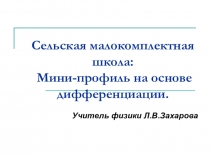 Презентация Мини-профильв рамках предпрофильной подготовки