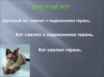 Презентация по письму и развитию речи на тему Познавательная деятельность на уроках