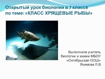 Презентация по биологии Хрящевые рыбы 7 класс