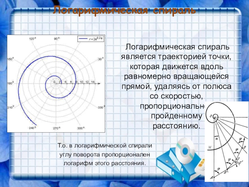 Логарифмическая спираль презентация