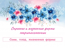 Презентация Строение и жизненные формы покрытосеменных. Семя, плод.