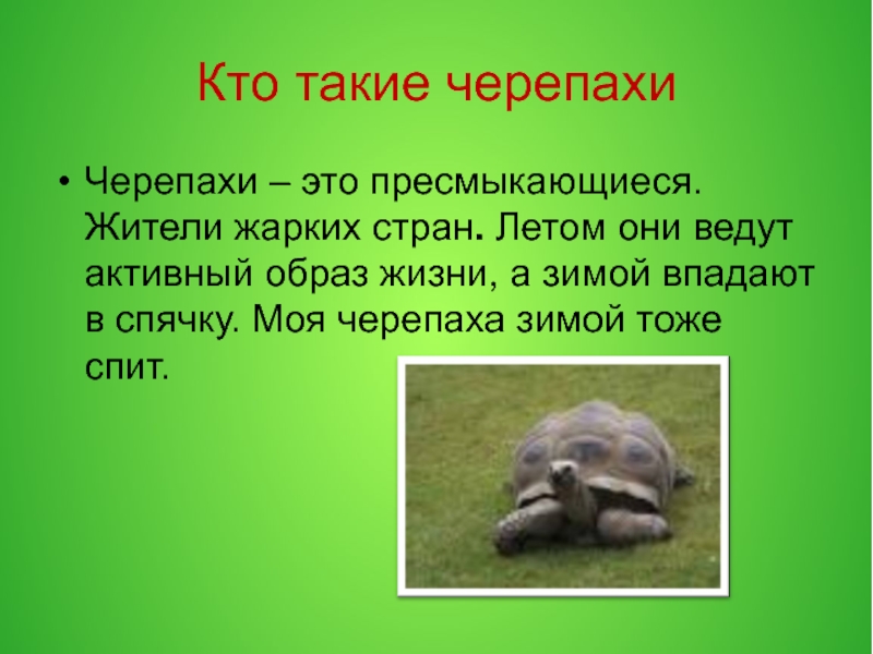 Черепаха рассказ 3 класс
