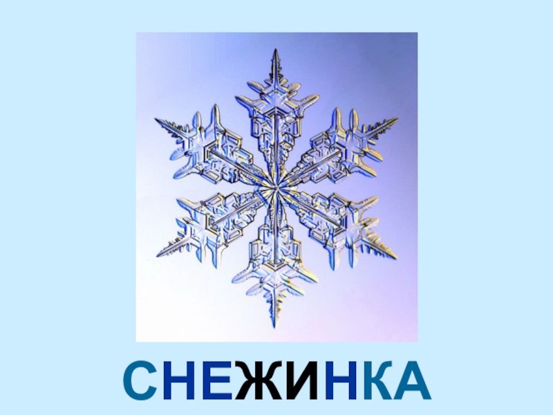 Снежинка проект ямал