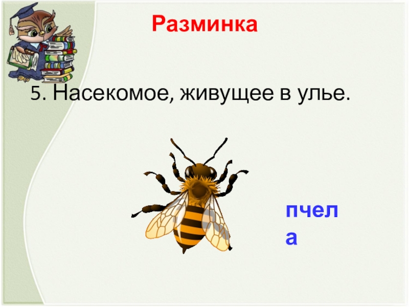 Разминка   5. Насекомое, живущее в улье. пчела