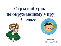 Презентация по окружающему миру на тему Надежная защита организма (3 класс)