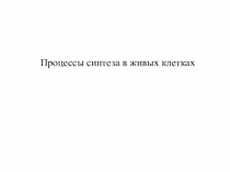 Презентация к уроку Процессы синтеза в живых клетках