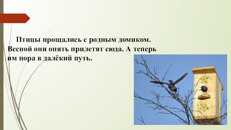 Птичий предложение. Птицы прощались с родным домиком. Рассказ птицы прощаются. Текст птицы прощаются. Изложение скворечник.