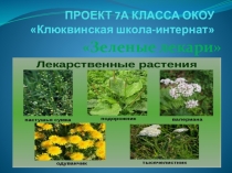 Презентация в рамках экологического месячника