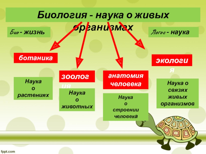 Организмы науки. Биология наука о жизни. Биология наука о живой природе. Биология как наука о живой природе. Презентация на тему биологические науки.