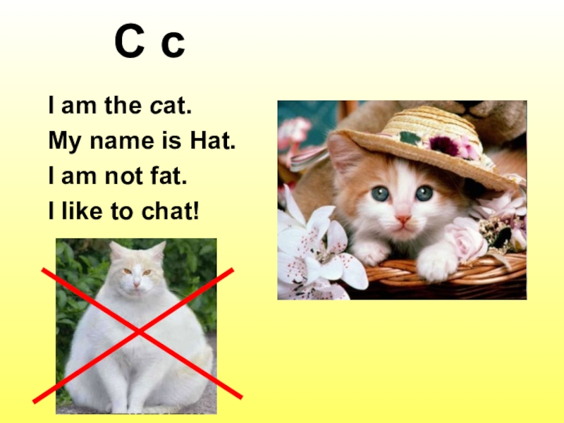 I am like. I am a Cat my name is hat. Стихи i am a Cat. I am the Cat my name is hat i am not fat i like to chat. Стишок i like my Cat.