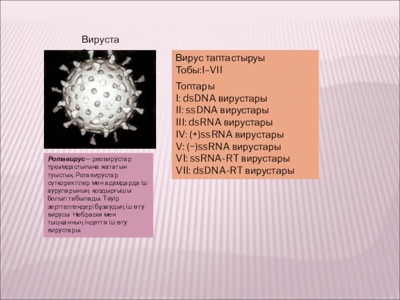 Вирустар туралы презентация