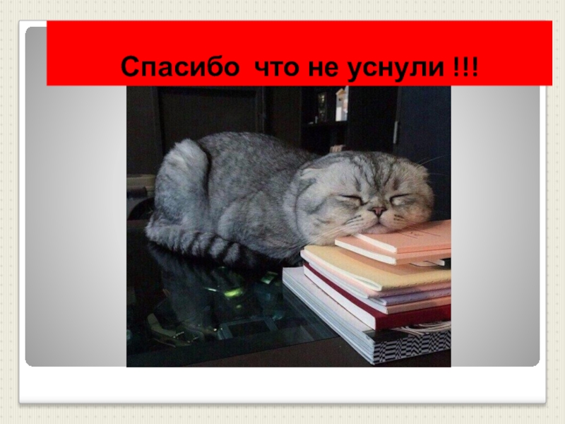 Надеюсь что прочитают. Спасибо за внимание для презентации. Спасибо за внимание котик. Смешные картинки спасибо за внимание для презентации. Картинки для конца презентации.