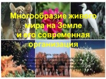 Презентация по биологии Многообразие живого мира на Земле