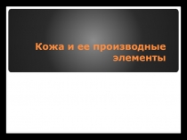 Презентация по биологии на тему: Строение и фунции кожи