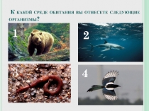 Урок по биологии: Экологические факторы (5 класс)