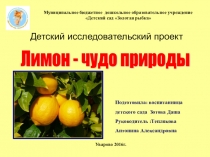 Проект на тему Лимон - чудо природы