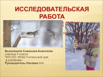 Презентация Покормите птиц зимой