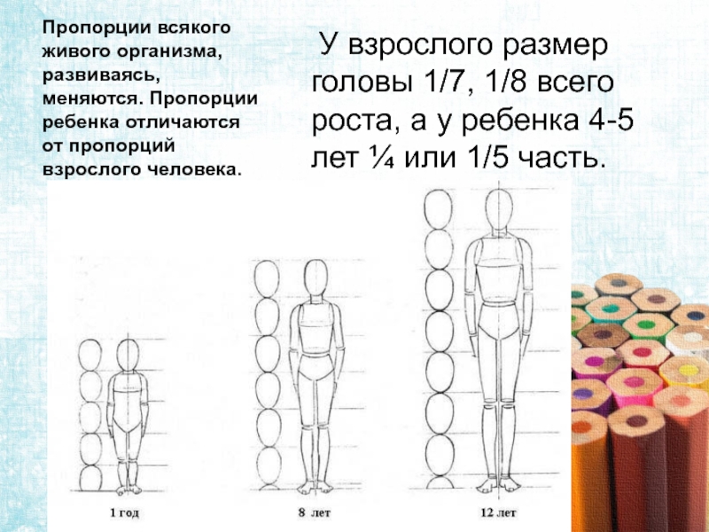 Презентация смешные человечки пропорции выражают характер