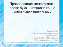 Презентация по русскому языку на тему Правописание мягкого знака после букв шипящих в конце имён существительных