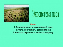 Презентация. Экосистема леса. Разработка