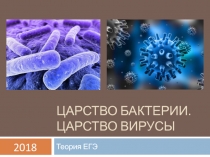 Царство Бактерии. Царство Грибы. Теория ЕГЭ