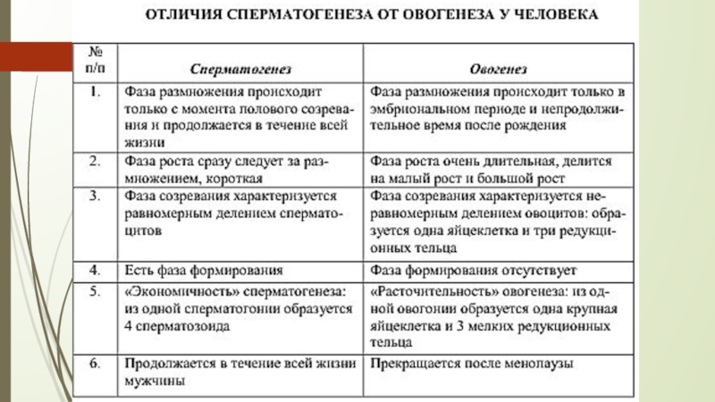 Отличия фаз. Отличие овогенеза от сперматогенеза таблица. Сравнительная характеристика сперматогенеза и овогенеза. Сравнение сперматогенеза и овогенеза таблица. Сходства сперматогенеза и овогенеза.