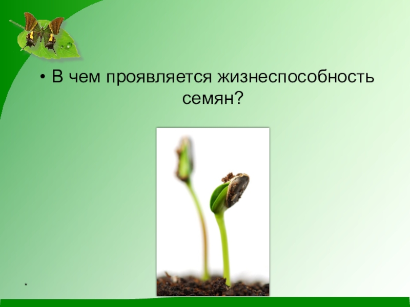 Семена каких растений сохраняют жизнеспособность меньше всего. Жизнеспособность семян. Определение жизнеспособности семян. Семя, проросток, жизнеспособность семян. Жизнеспособность семян цветов.