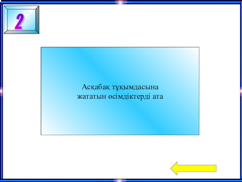 Астралылар тұқымдасы презентация