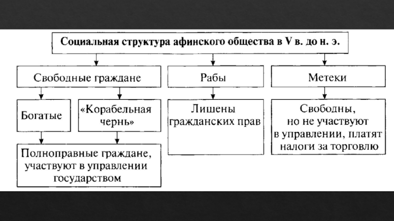 Схема политического устройства спарты