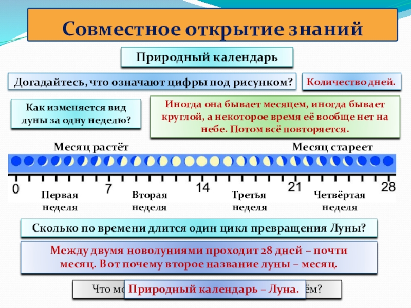 Природные часы презентация