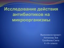 Проект по биологии на тему Исследование антибиотиков на микроорганизмы