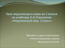 Презентация по окружающему миру на тему Невидимые нити (2 класс)