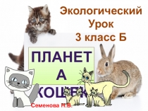 Презентация к спектаклю Планета кошек без видео