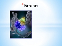 Презентация к уроку по теме Белки