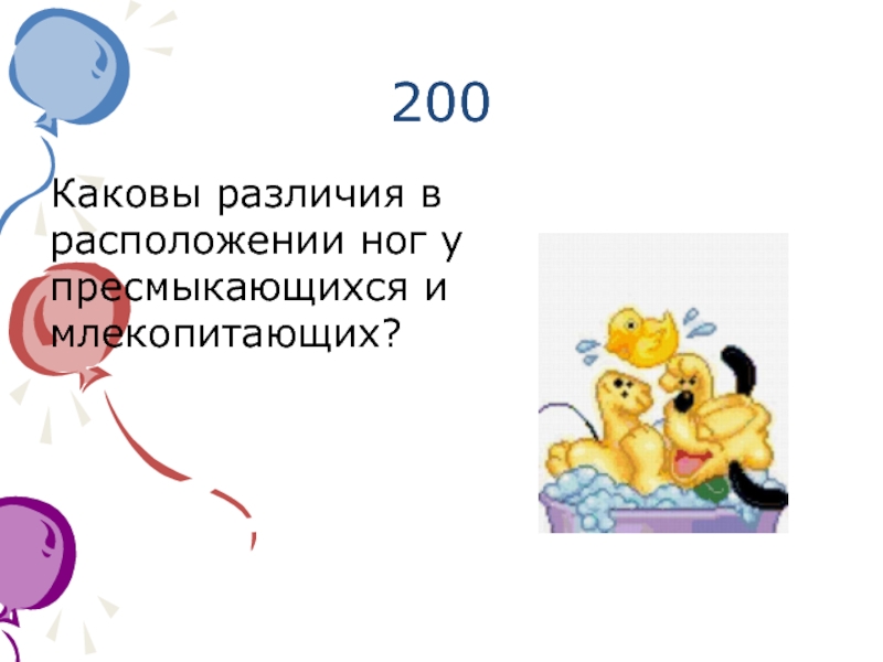 200 каков